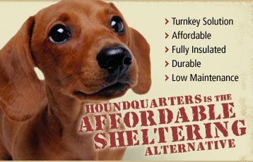 All our new technology is going to the dogs